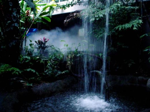 Cascade artificielle du Blank Park Zoo (USA)