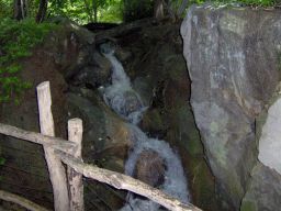 Cascade au Zoo du Bronx (NY) 