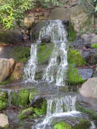 cascade de jardin : Crystal Spring Botanic Garden