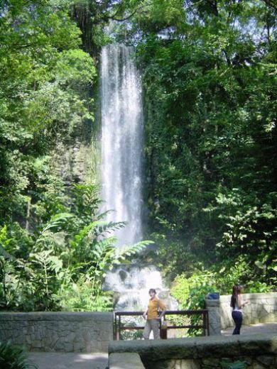 The-tallest-continuously-running-artificial-cascade-in-the-world-30-metres Jurong-Bird-Park