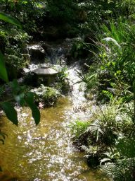 paysagisme et conception de jardin zen et jardin japonais