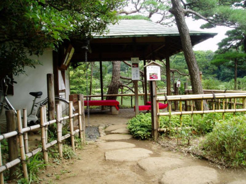 allee-jardin-jardin-japonais-allee-de-jardin-pas-japonais-116_xl.jpg