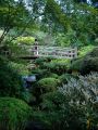 Pont en bois (rondin) au jardin botanique de Portland sur le bassin aquatique principal
