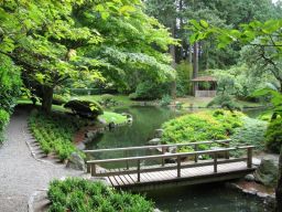 Pont en bois visible au  jardin botanique de Portland sur le bassin aquatique principal