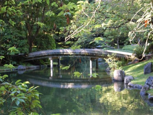 pont en bois (rondin) au jardin botanique de portaland sur le bassin aquatique principal