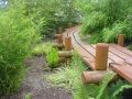 zen path