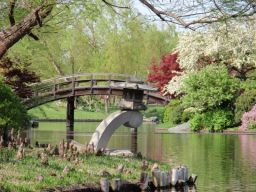 pont-bassin-jardin-japonais-saint-louis-missouri