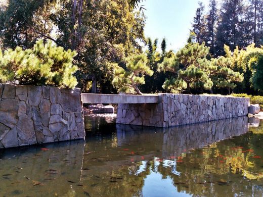 Jardin Botanique Los Angeles 2006 - bassin avec de nombreuses carpes koi
