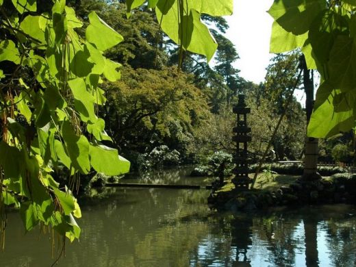 Ponts du bassin