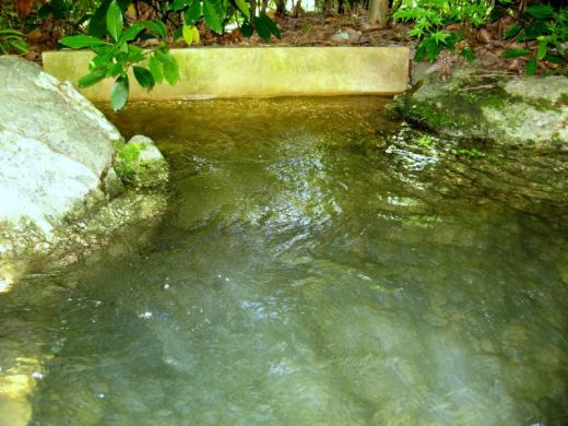 bassin aquatique