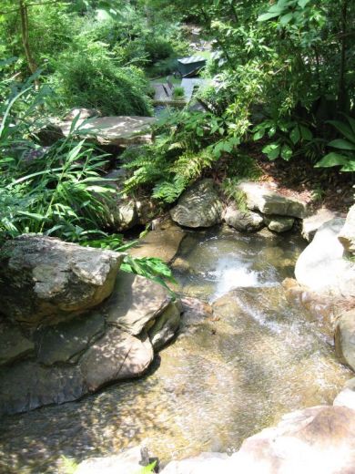 bassin aquatique et cascade