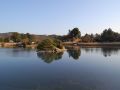 Bassin aquatique du jardin japonais de Korakuen