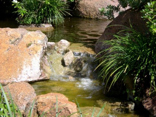cascade jardin japonais