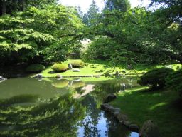 jardin japonais de nitobe : bassin aquatique du jardin