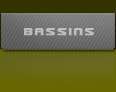 Bassin aquatique dans les jardins japonais
